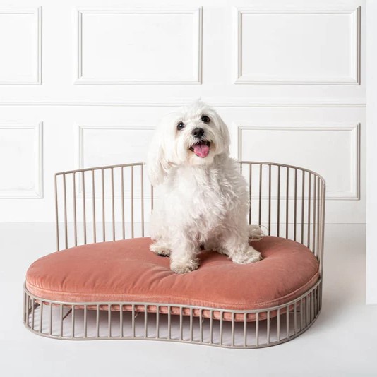 smith couchage de luxe pour chien et chat taylord