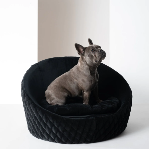 victoria couchage de luxe pour chien