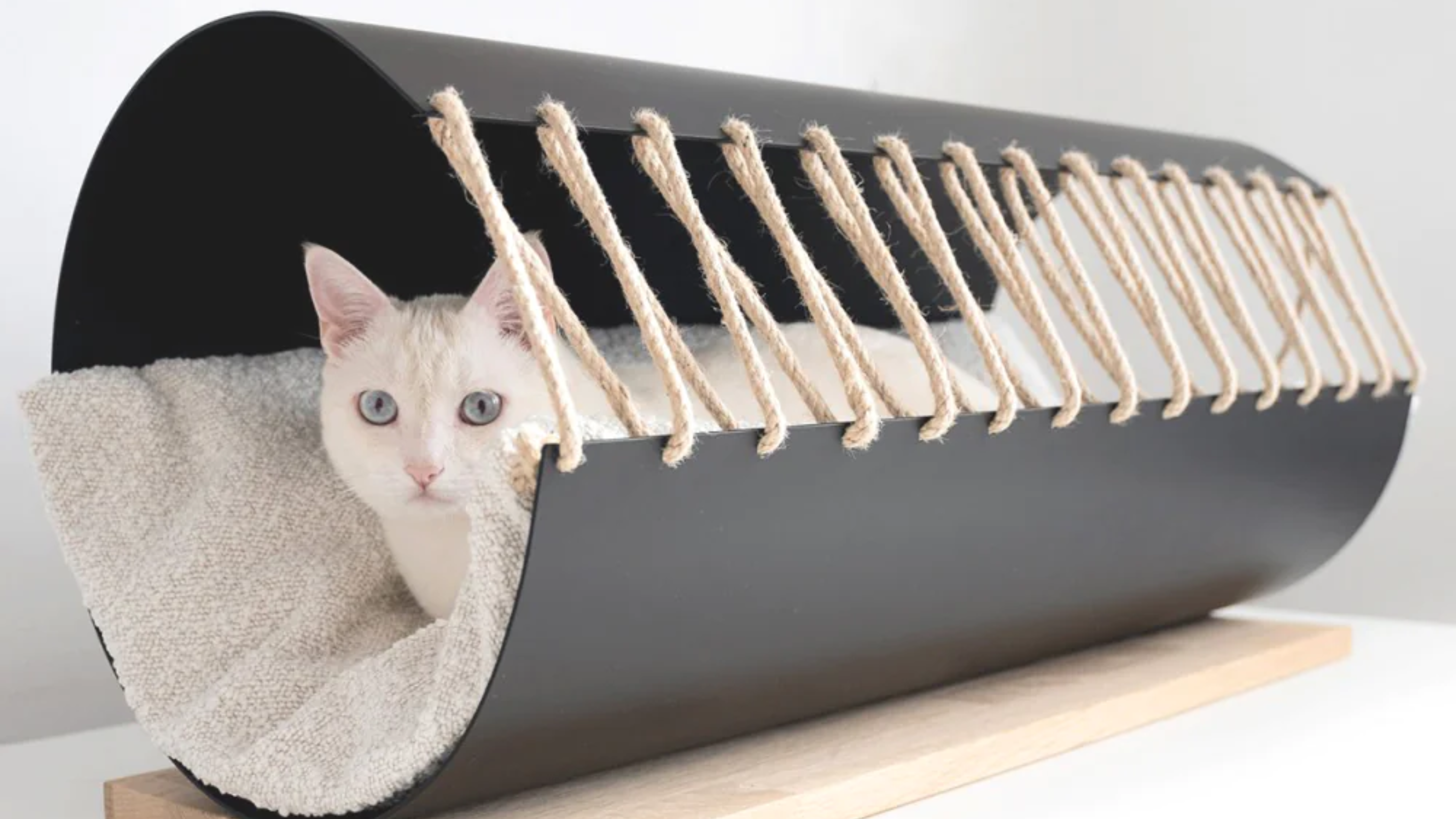 Élégance au sol : Les niches de sol luxueuses pour les chats