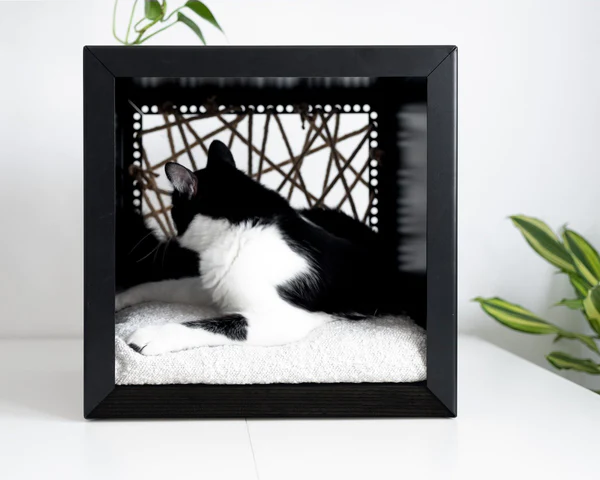 Niche de luxe pour chat – CUBAÉlégance au sol : Les niches de sol luxueuses pour les chats