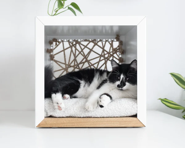 Niche de luxe pour chat – CUBAÉlégance au sol : Les niches de sol luxueuses pour les chats