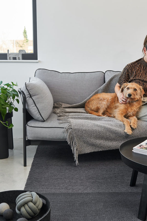 BUCCOLA - Couverture en laine pour chien et chat