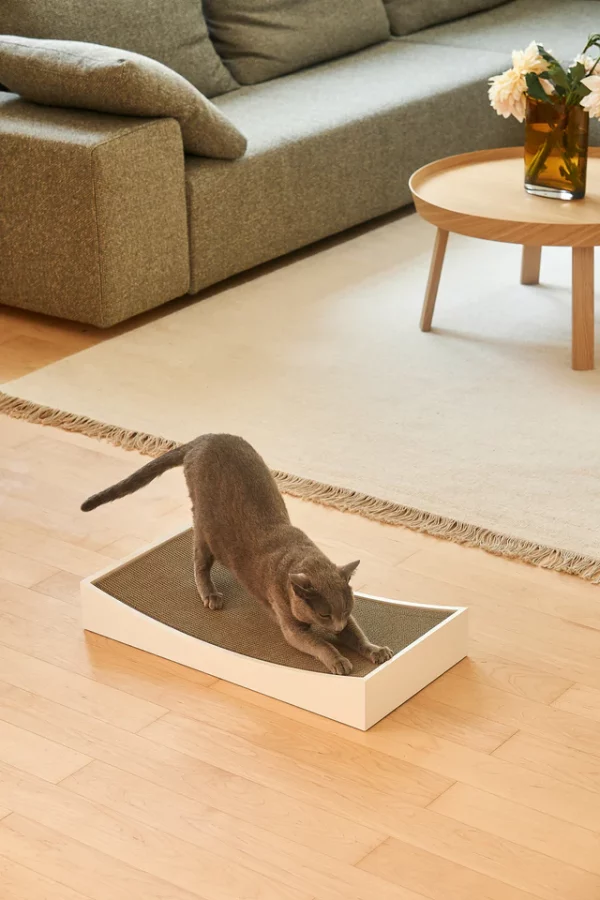 GRATTA - Griffoir de luxe pour Chat