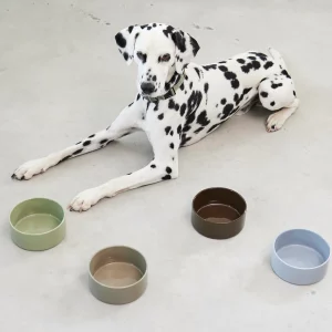 Gamelle de luxe pour chien et chat - SCODELLA