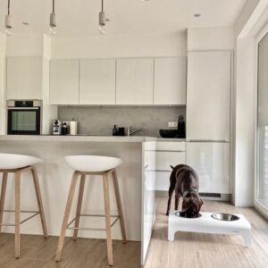 Gamelle pour chien et chat - RICO