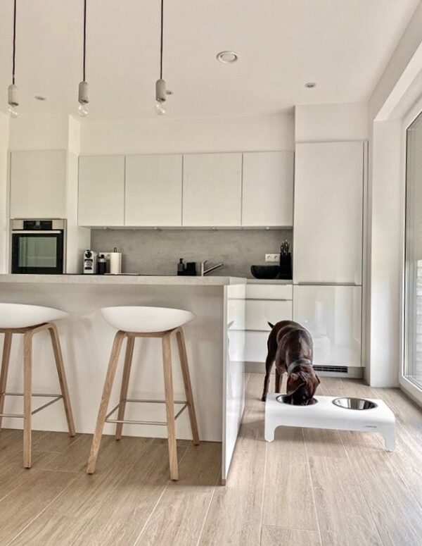 Gamelle pour chien et chat - RICO