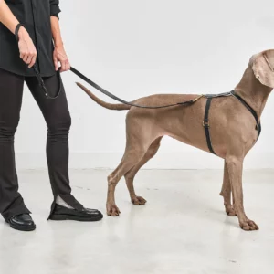 Laisse design en cuir végétal - RIMINI