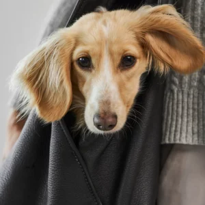 Sac à main en cuir pour chien - BORSA