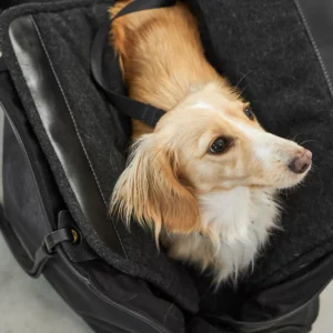 Sac à main en cuir pour chien - BORSA
