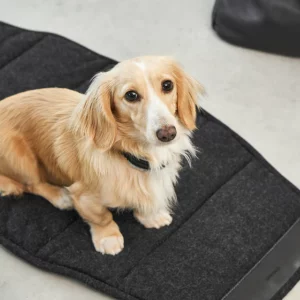 Sac à main en cuir pour chien - BORSA