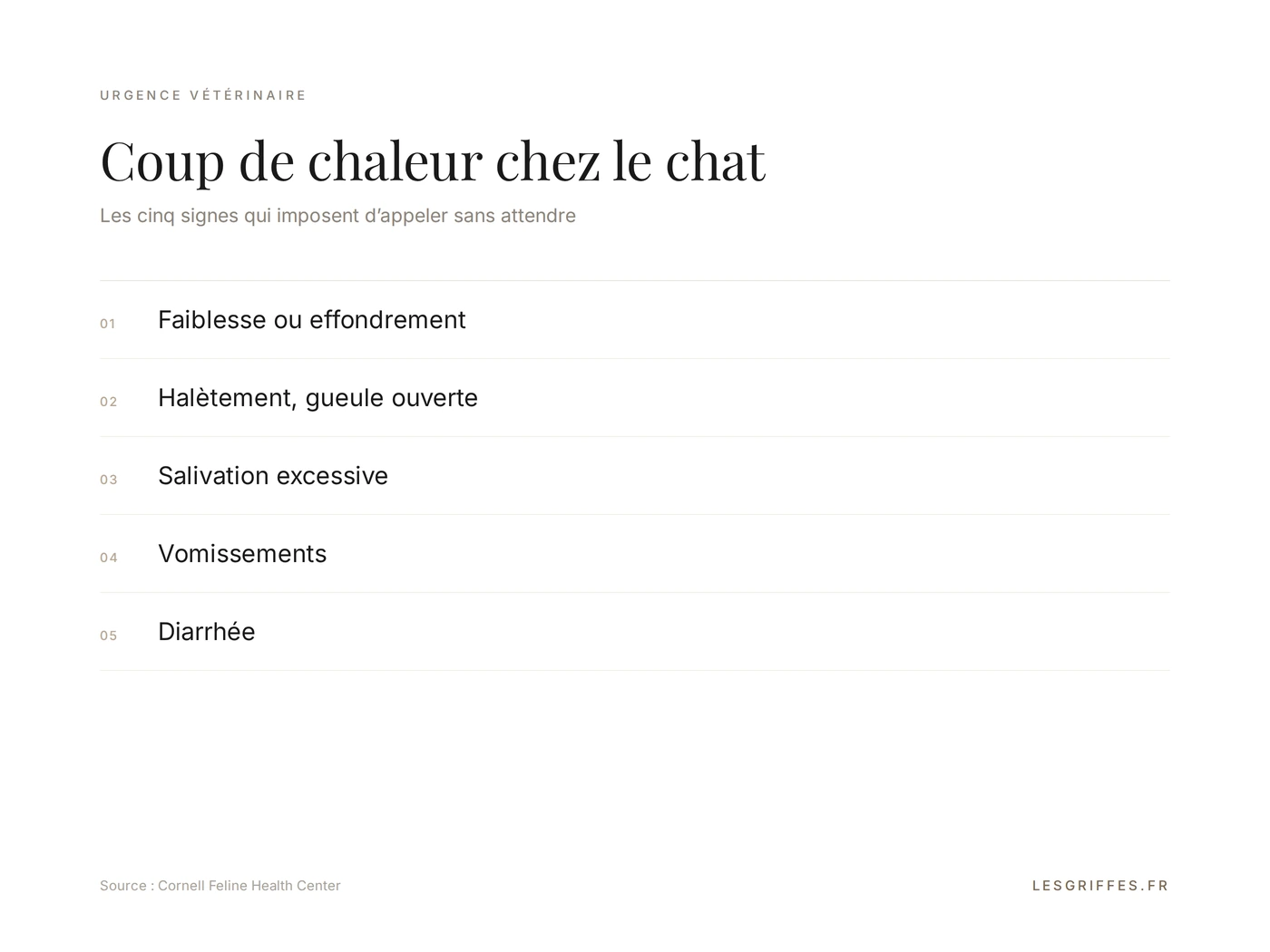 Coup de chaleur chez le chat : les cinq signes qui imposent d’appeler le vétérinaire