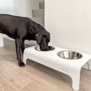 Gamelle pour chien et chat - RICO