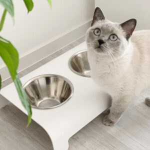 Gamelle pour chien et chat - RICO