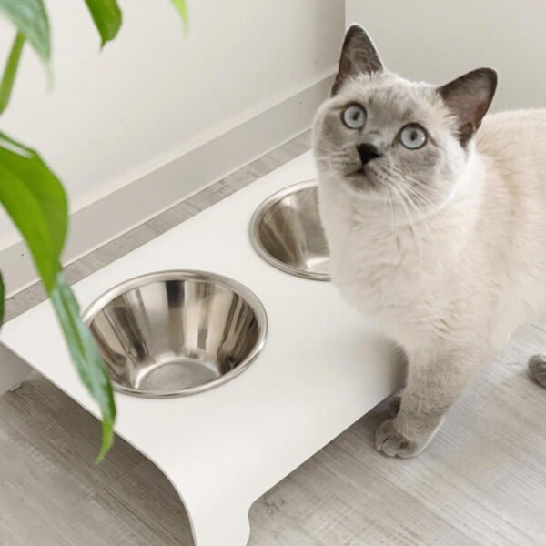 Gamelle pour chien et chat - RICO